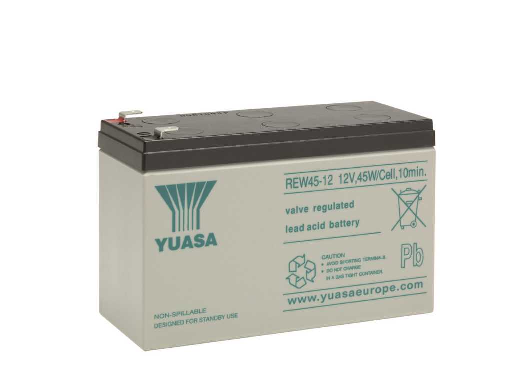 Bild von Yuasa REW45-12 12V 45W